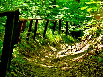Спуск по стежці до низу у весняному лісі, дерев'яні поручні для полегшення.